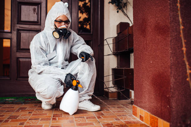 Reliable Mosquito Control contractor in Alpha, NJ by Show Me Pest Control